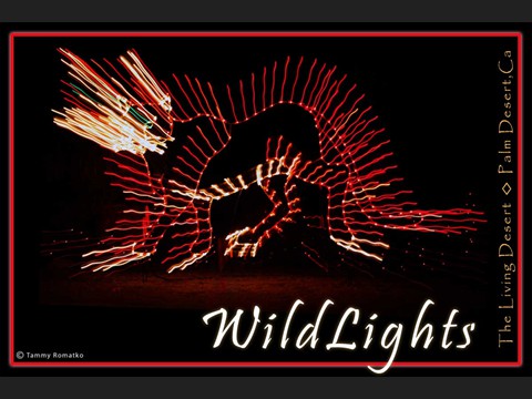 wildlights
